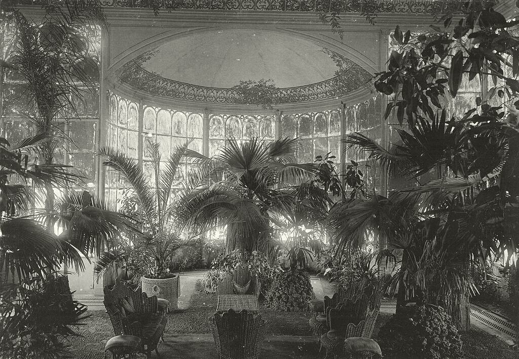 Estufa de palmeiras numa casa de campo na Hungria, entre 1895 e 1899.
