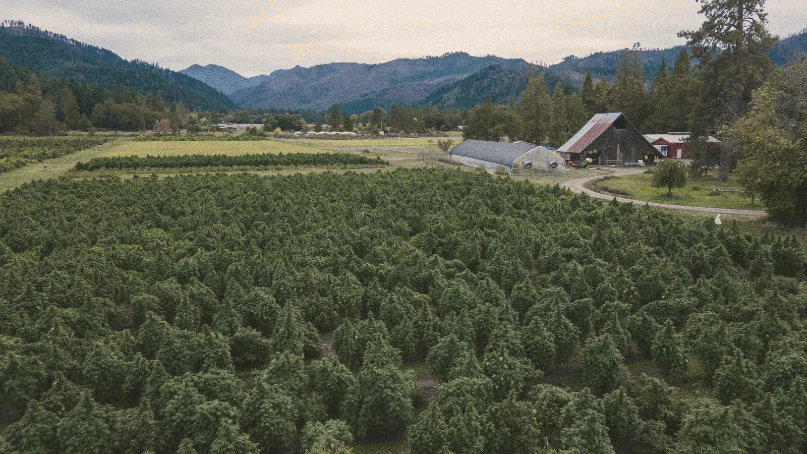 A fazenda vista do alto, com o campo e as montanhas